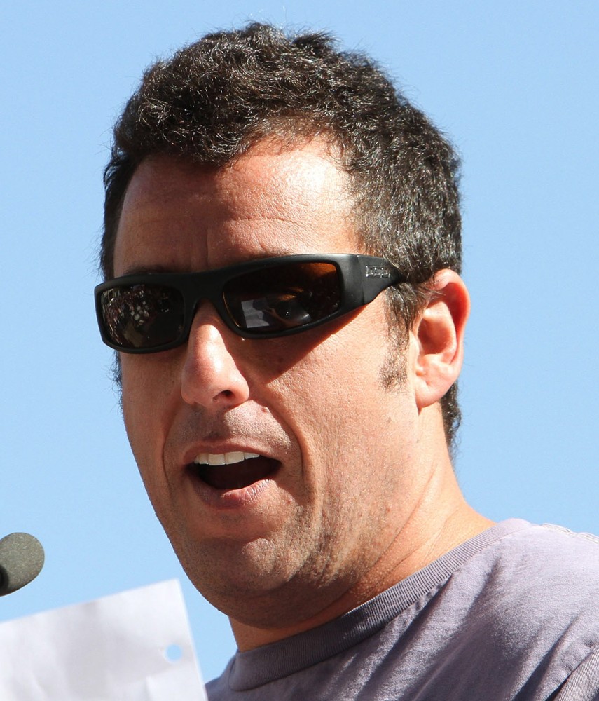 sandler aniston