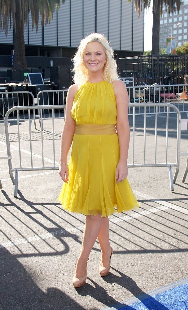 Amy Poehler