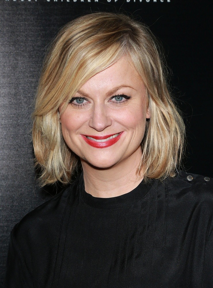 amy poehler Picture 126 A.C.O.D. Los Angeles Premiere