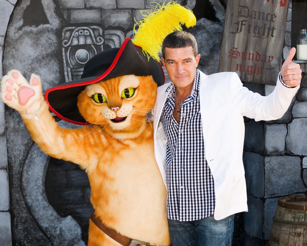 antonio banderas picture 43 the los angeles premiere of tanner scale chart