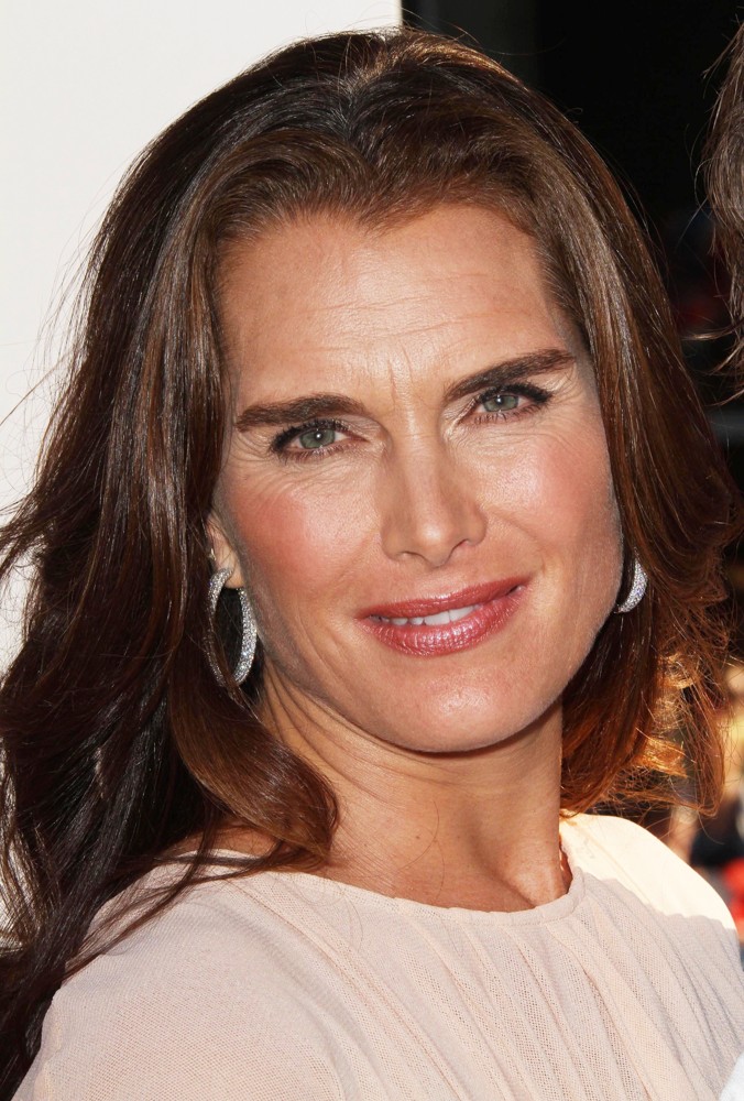 Brooke Shields Picture 46 - Los Angeles Premiere of The Campaign - Arrivals