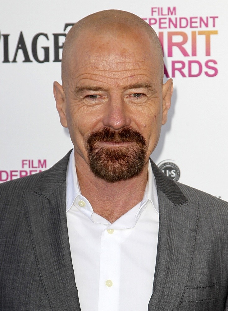 bryan cranston director office bryan cranston picture 75 2013 film independent spirit bryan cranston director office bryan cranston picture 75 2013 film independent spirit