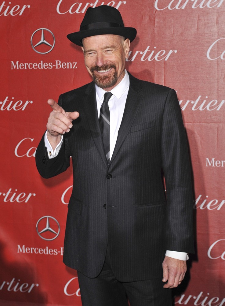24th Annual Palm Springs International Film Festival Awards Gala - Red Carpet