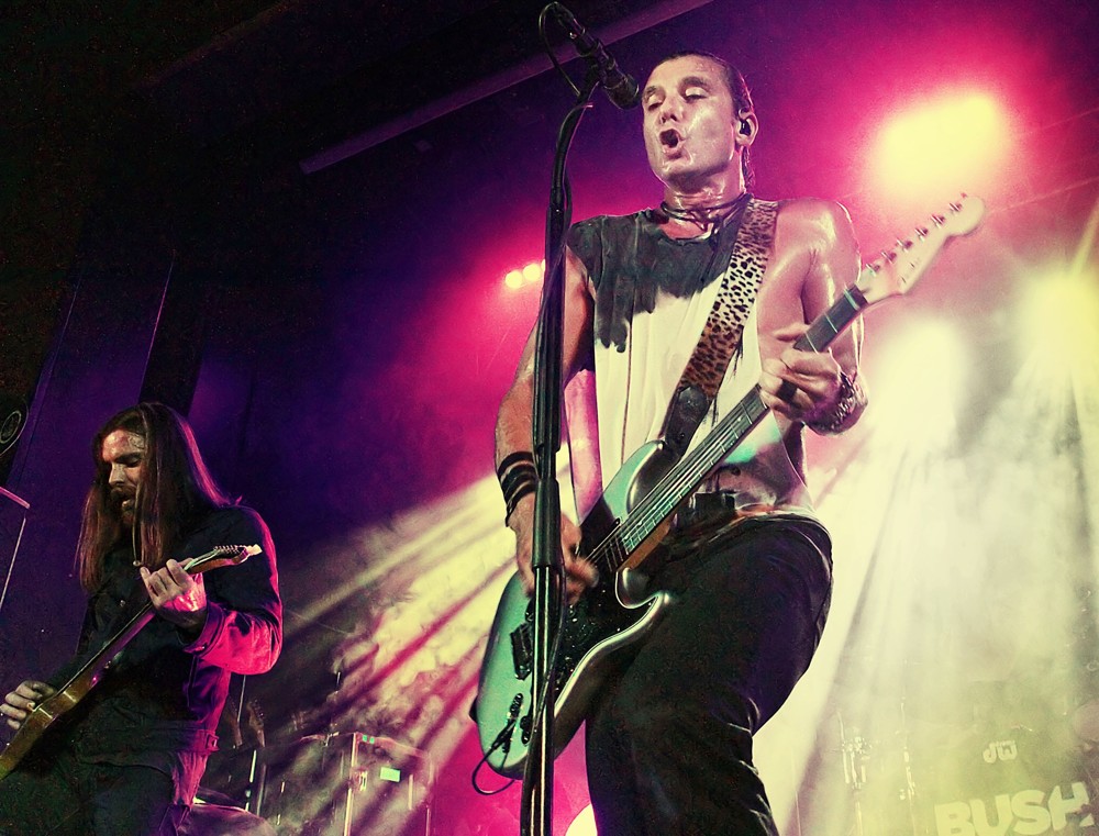 Gavin Rossdale