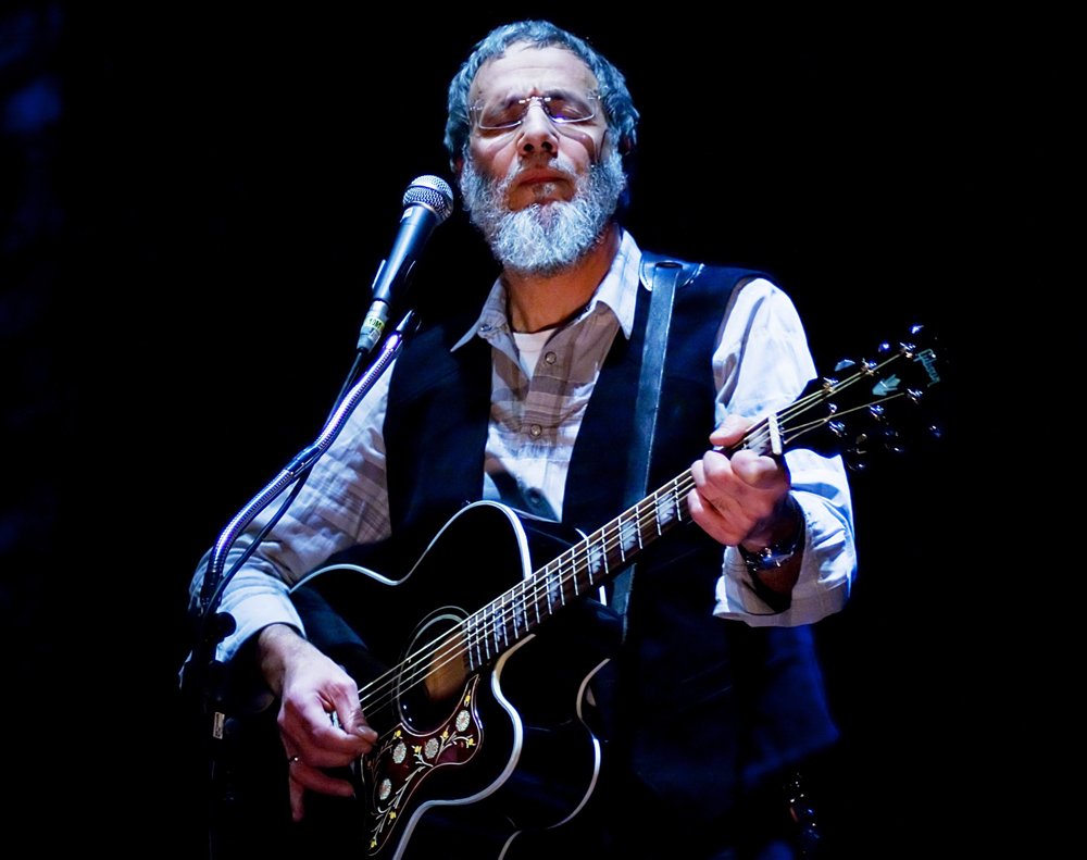 Cat Stevens Net Worth