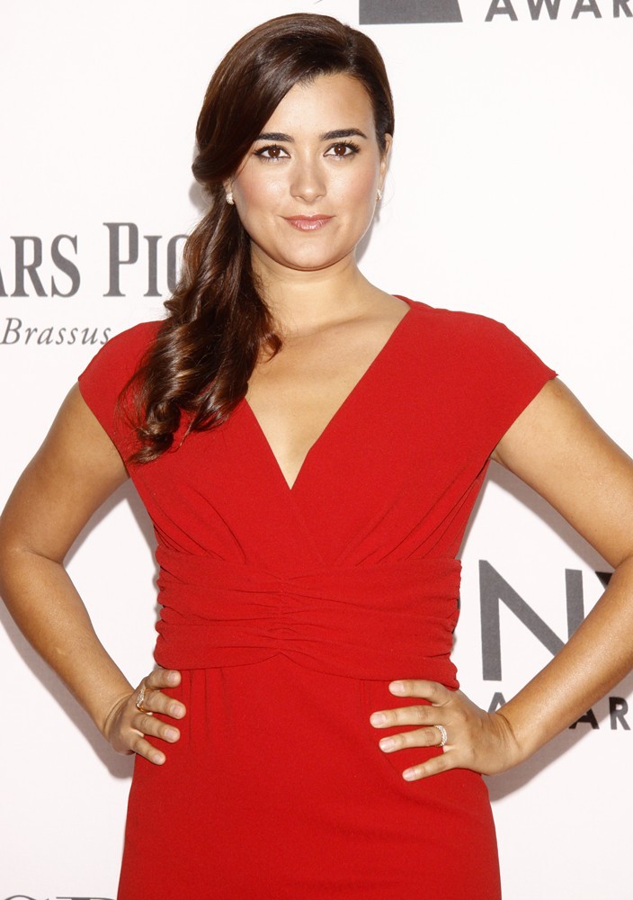Cote de Pablo Picture 7