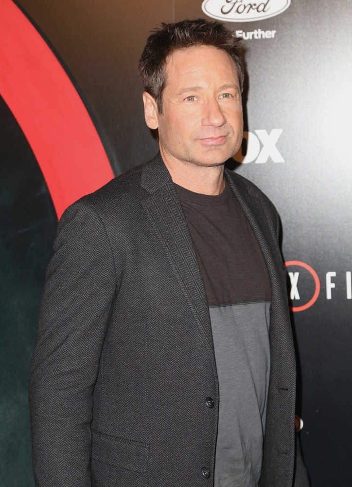 david duchovny picture 47 the x files premiere event box size