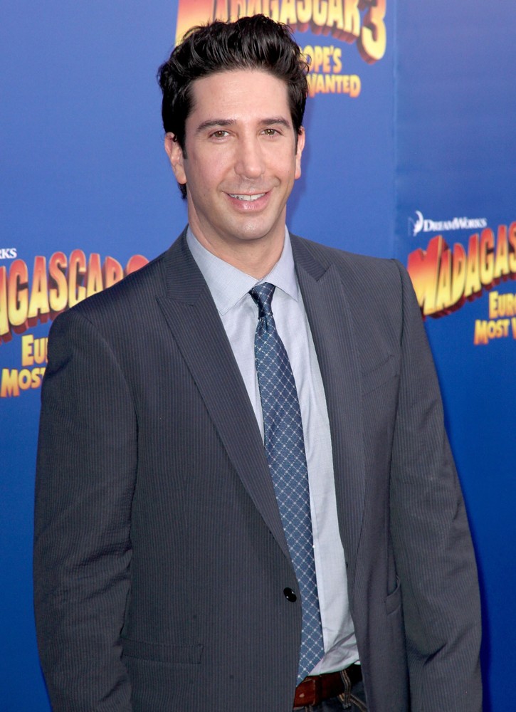 David Schwimmer - New Photos