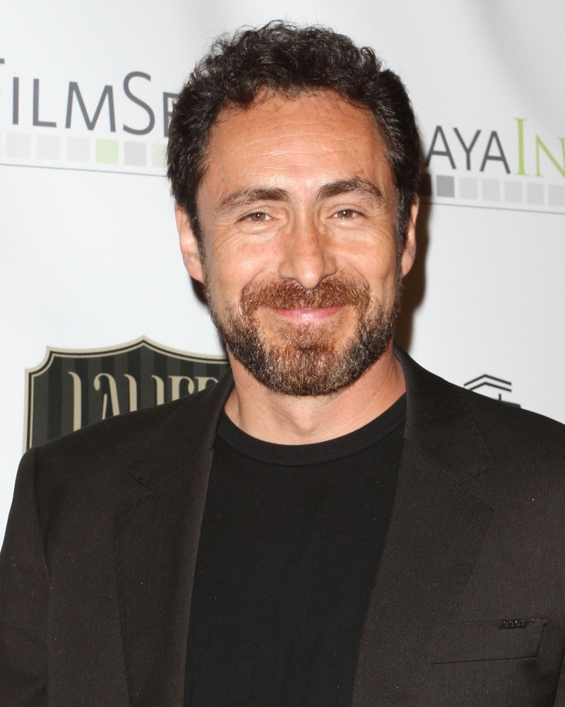Demian Bichir Net Worth