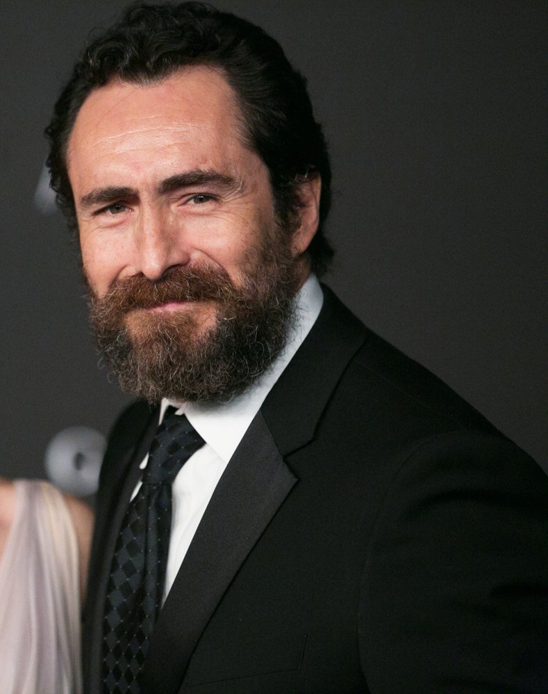 Demian Bichir Net Worth