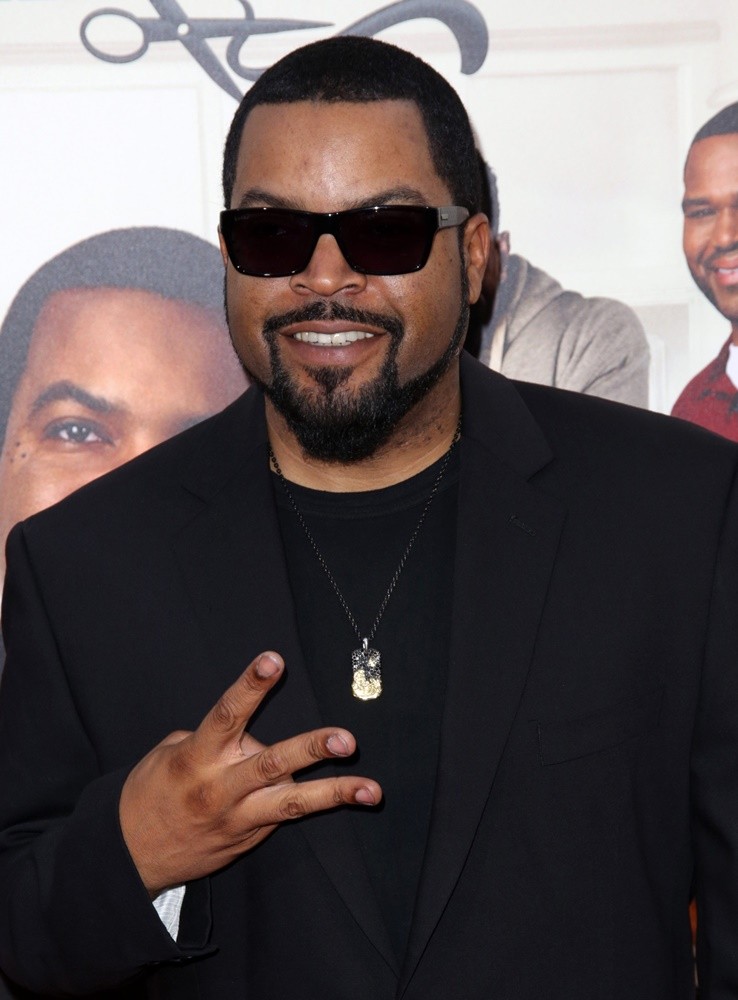Ice Cube Picture 62 The Next Cut Premiere