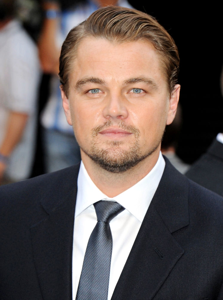 Leonardo - Picture