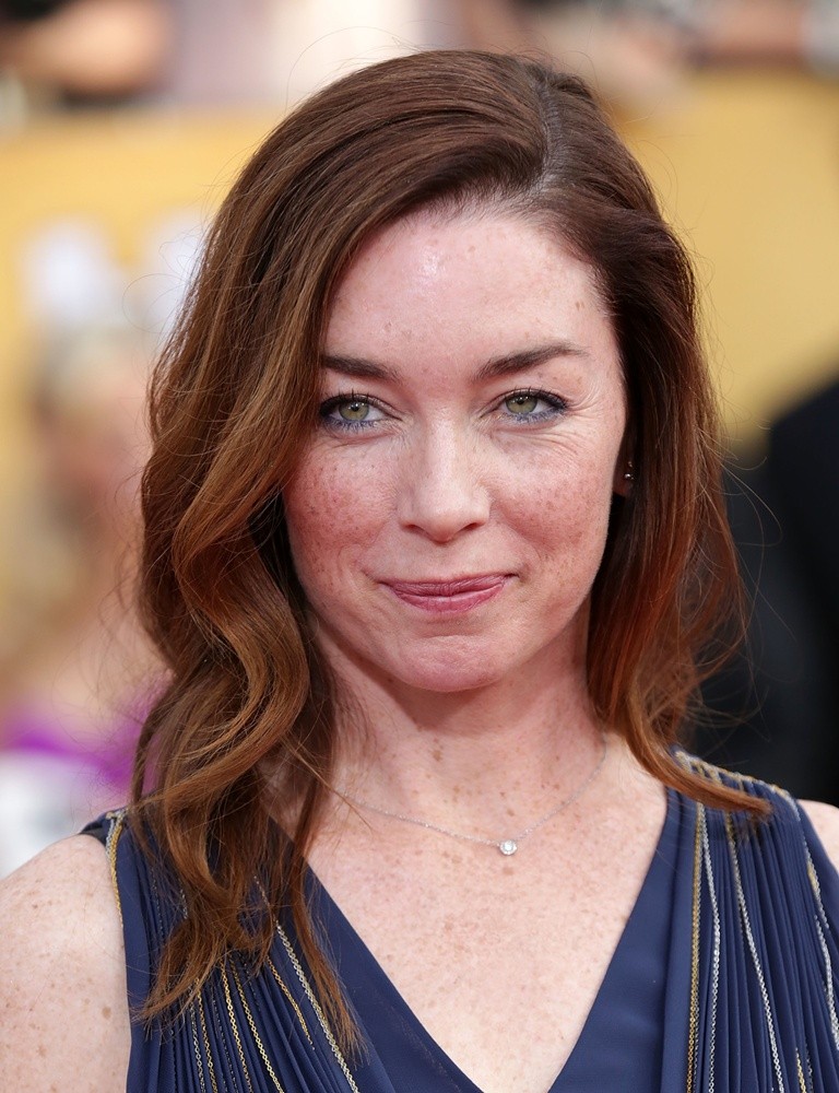 Julianne Nicholson 2018 Hair, Eyes, Feet, Legs, Style, Weight & No