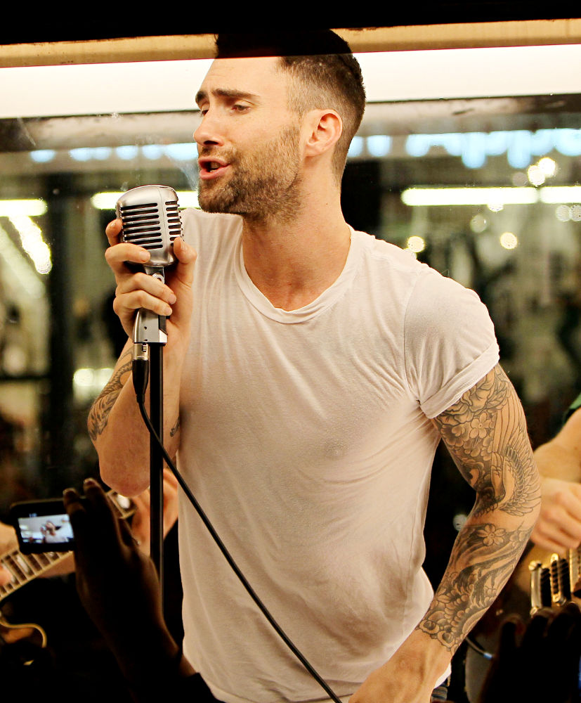 for Maroon 5s New Video