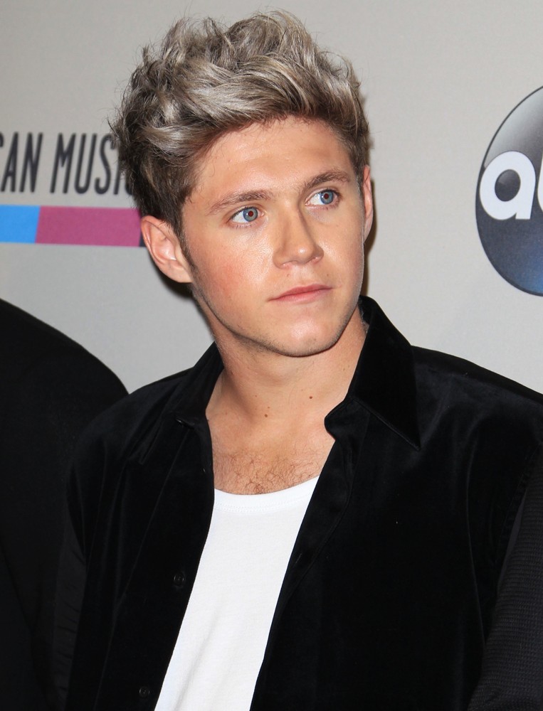 Niall Horan Picture 49 - 2013 American Music Awards - Press Room