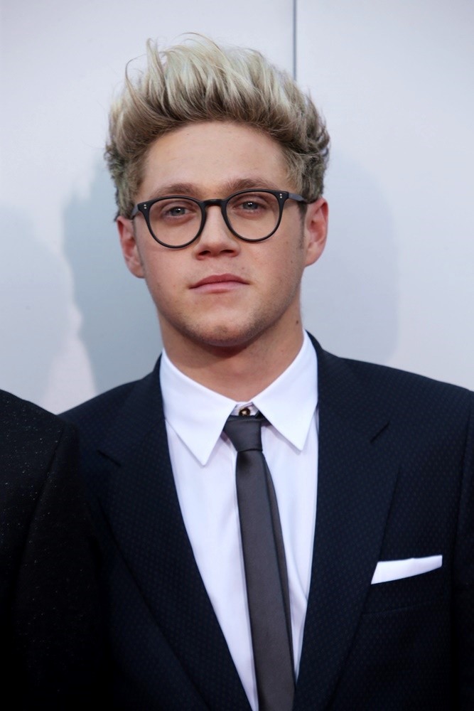 Niall Horan Picture 84 - American Music Awards 2015 - Arrivals