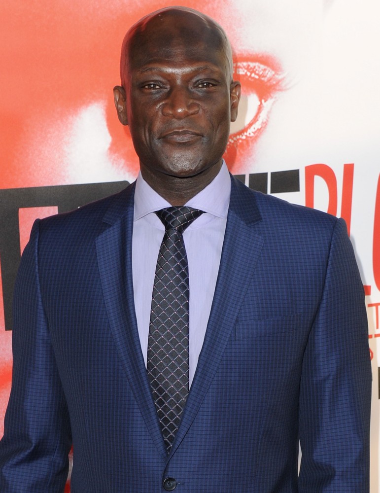 Peter Mensah Los Angeles Premiere for The Fifth Season of HBO's Series True