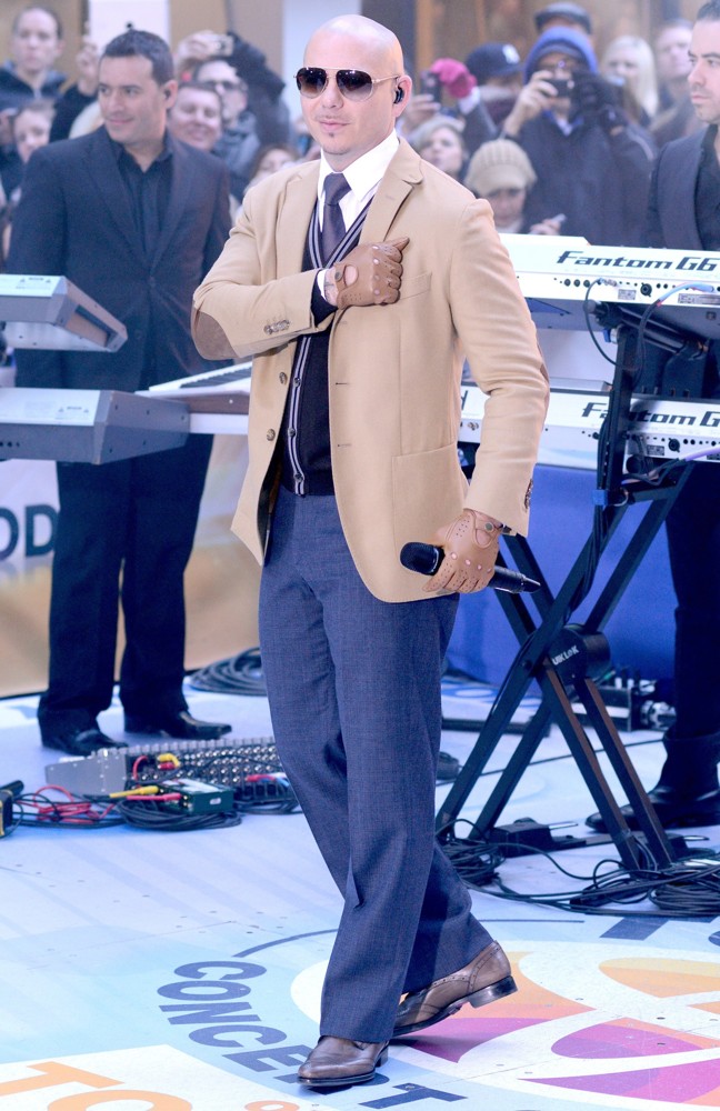 Pitbull