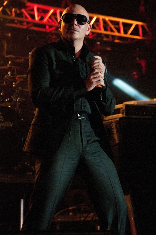 Pitbull