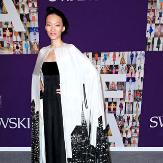Zang Toi