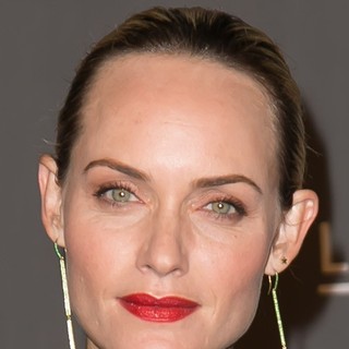 Amber Valletta in LACMA 2012 Art + Film Gala - Arrivals - amber-valletta-lacma-2012-01