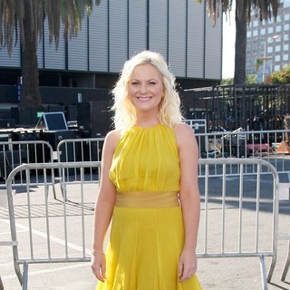 Amy Poehler in 2011 Do Something Awards - Arrivals