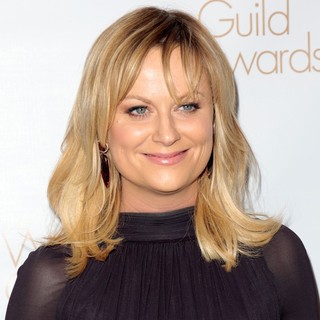Amy Poehler in 2013 Writers Guild Awards - Arrivals