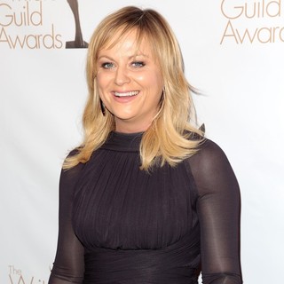 Amy Poehler in 2013 Writers Guild Awards - Arrivals