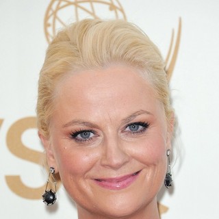 Amy Poehler in The 63rd Primetime Emmy Awards - Arrivals