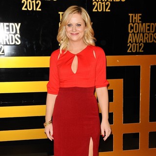 Amy Poehler in The Comedy Awards 2012 - Arrivals