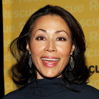 Ann Curry in The International Rescue Committee's Annual Freedom Award Benefit - Arrivals