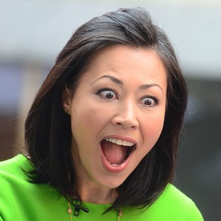 Ann Curry in Ann Curry at Rockefeller Center for The Today Show's Concert Series