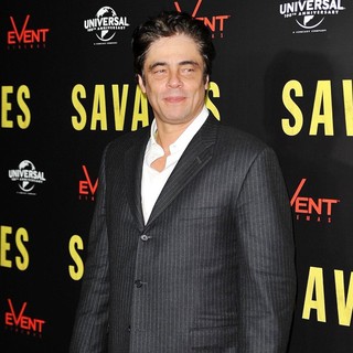 Benicio Del Toro in A Photocall for The Savages - benicio-del-toro-aussie-photocall-savages-04