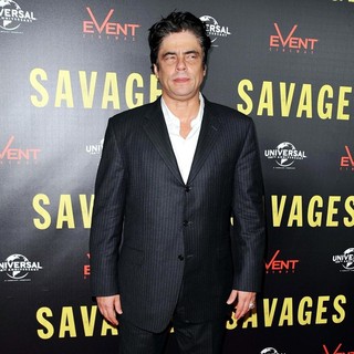 Benicio Del Toro in A Photocall for The Savages - benicio-del-toro-aussie-photocall-savages-05
