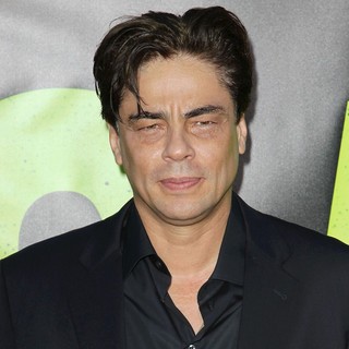Benicio Del Toro in The Premiere of Savages