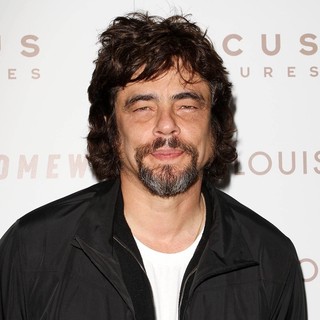 Benicio Del Toro in Premiere of Somewhere - Arrivals