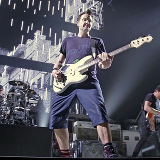 Blink-182 Performing Live - blink-182-performing-live-19