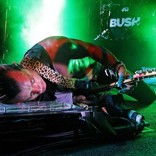 Gavin Rossdale, Bush in Bush Performing on Stage