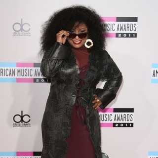 Chaka Khan in 2011 American Music Awards - Arrivals