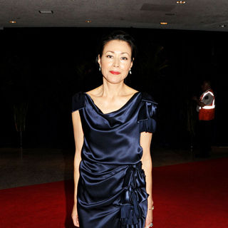Ann Curry in 2010 White House Correspondents Association Dinner - Arrivals