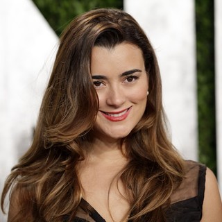 Cote de Pablo in 2013 Vanity Fair Oscar Party - Arrivals