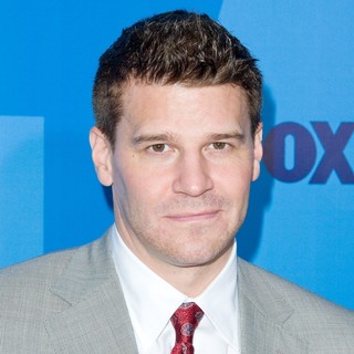 David Boreanaz in 2011 FOX Upfront Presentation - Arrivals - david-boreanaz-2011-fox-upfront-presentation-01