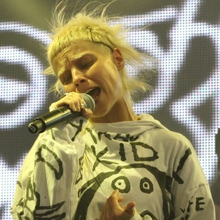 Yo-Landi Vi$$er, Die Antwoord in Big Day Out Festival