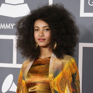 Esperanza Spalding in 55th Annual GRAMMY Awards - Arrivals