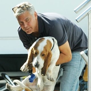George Clooney and Amal Alamuddin Take Their Hound Dog on The Set of Suburbicon