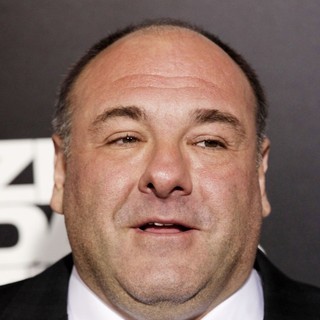 James Gandolfini in Los Angeles Premiere of Columbia Pictures' Zero Dark Thirty