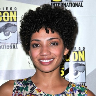 Jasika Nicole in Comic-Con 2010 - Day 3 - Fringe Press Conference