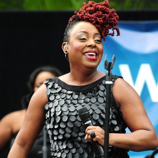 Ledisi in Ledisi Performs at A President Obama 2012 Fundraiser