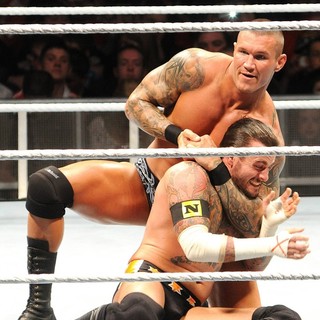 Randy Orton, CM Punk in WWE RAW Wrestling Superstars