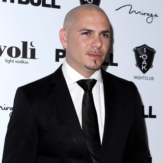 Pitbull in Pitbull Celebrates His Birthday